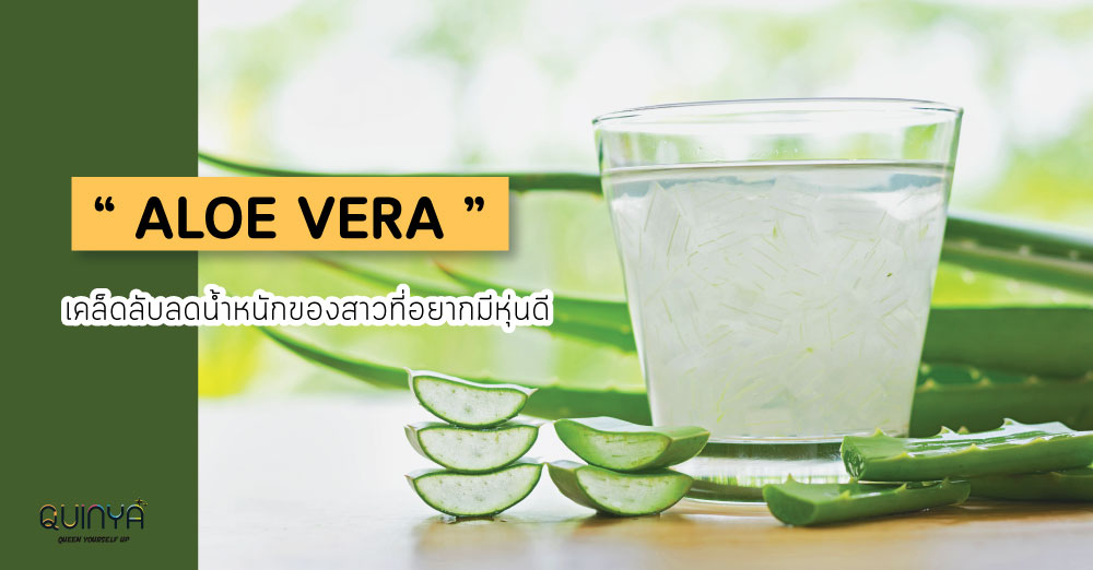 “ Aloe vera ” เคล็ดลับลดน้ำหนักของสาวที่อยากมีหุ่นดี